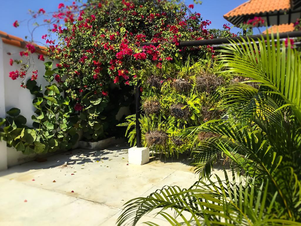 Casa Ines Bed & Breakfast Santa Marta  Exterior photo